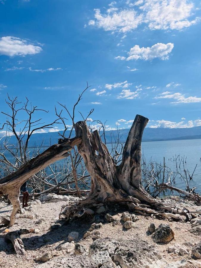 Lago Enriquillo Resort Cerro Al Medio Екстер'єр фото