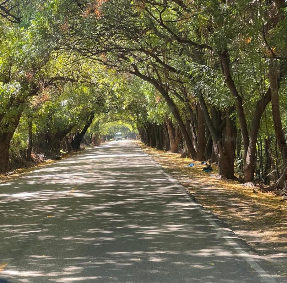 Lago Enriquillo Resort Cerro Al Medio Екстер'єр фото